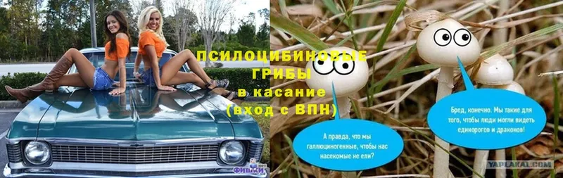 OMG как зайти  Нижний Новгород  Псилоцибиновые грибы Magic Shrooms  цены наркотик 